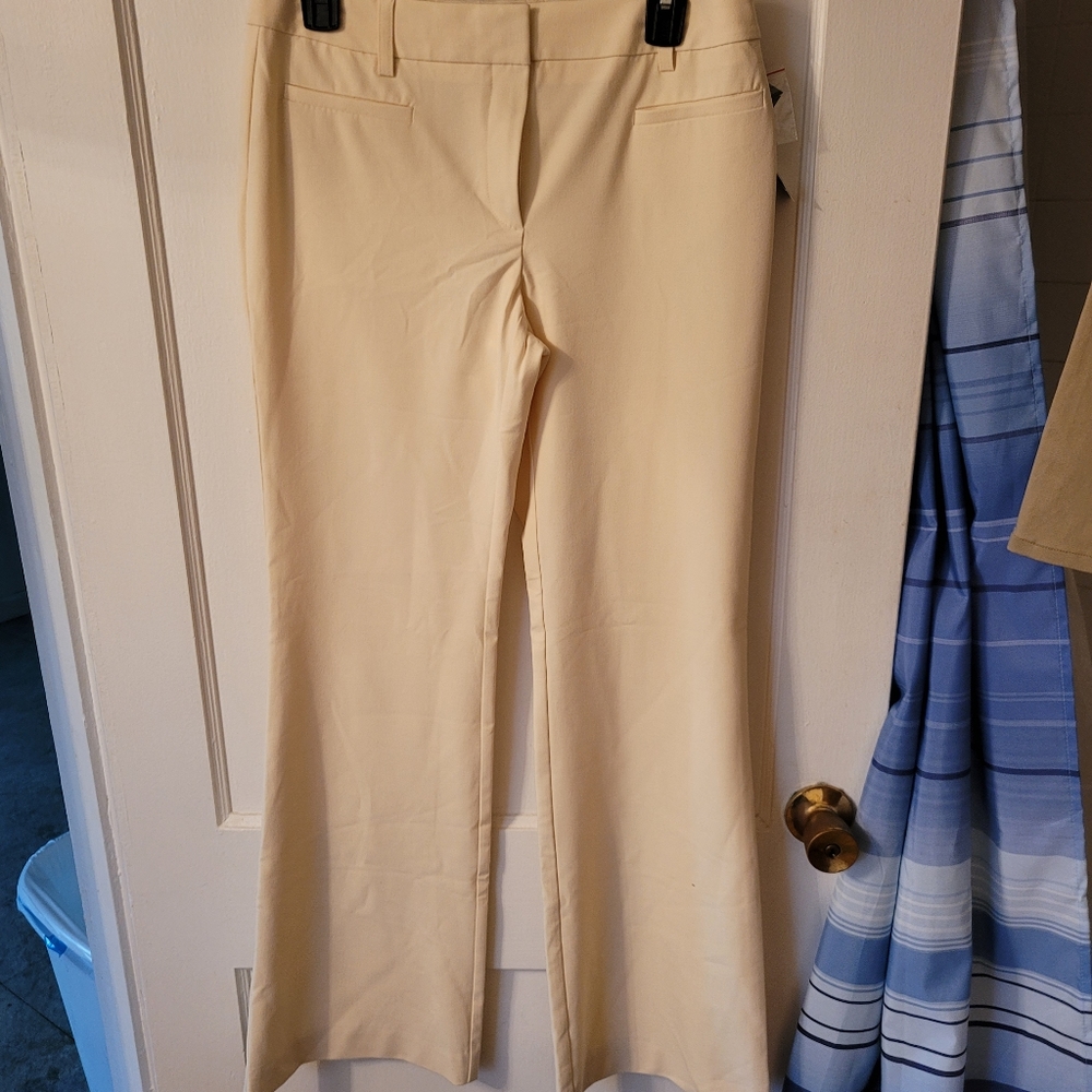 Ink Dress Pants 6